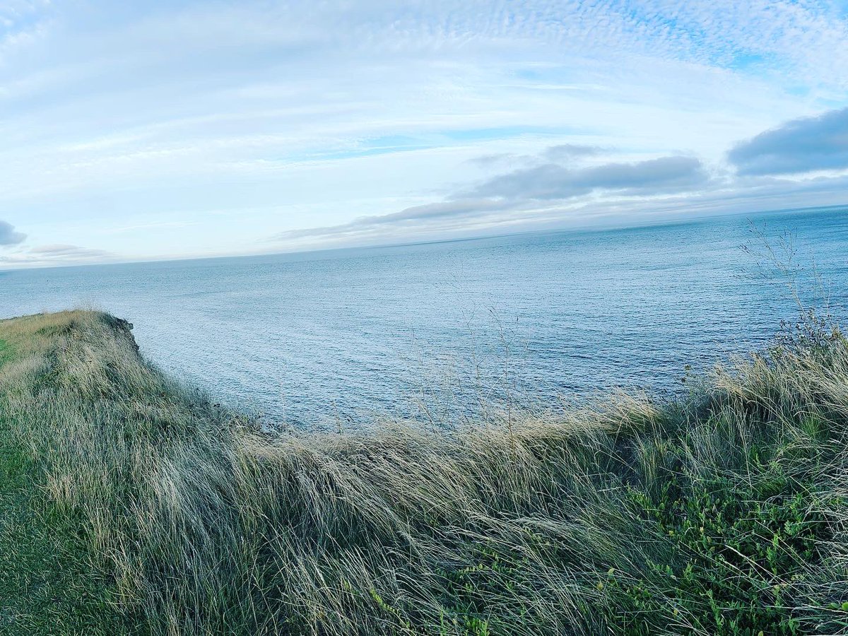 _RG_Photography's tweet photo. Swanage, Peverel Point, August 2023

#swanage #dorset #coast #peverlpoint #nature #photography #landscape

~ RG https://t.co/hnW34bEwmy