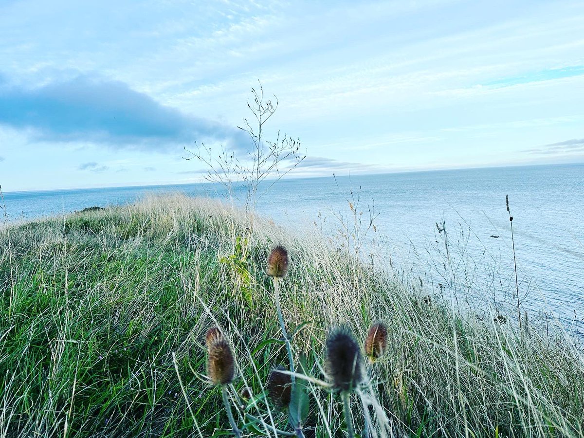 _RG_Photography's tweet photo. Swanage, Peverel Point, August 2023

#swanage #dorset #coast #peverlpoint #nature #photography #landscape

~ RG https://t.co/hnW34bEwmy