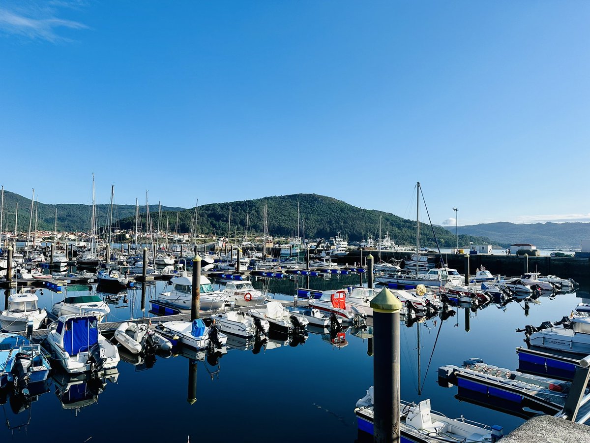 Bart De Clerck tweet media