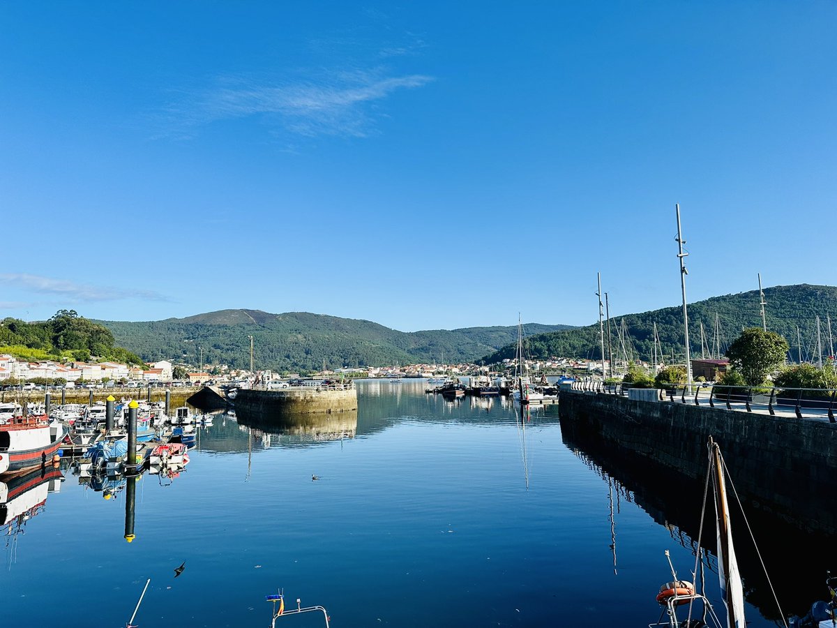 Bart De Clerck tweet media