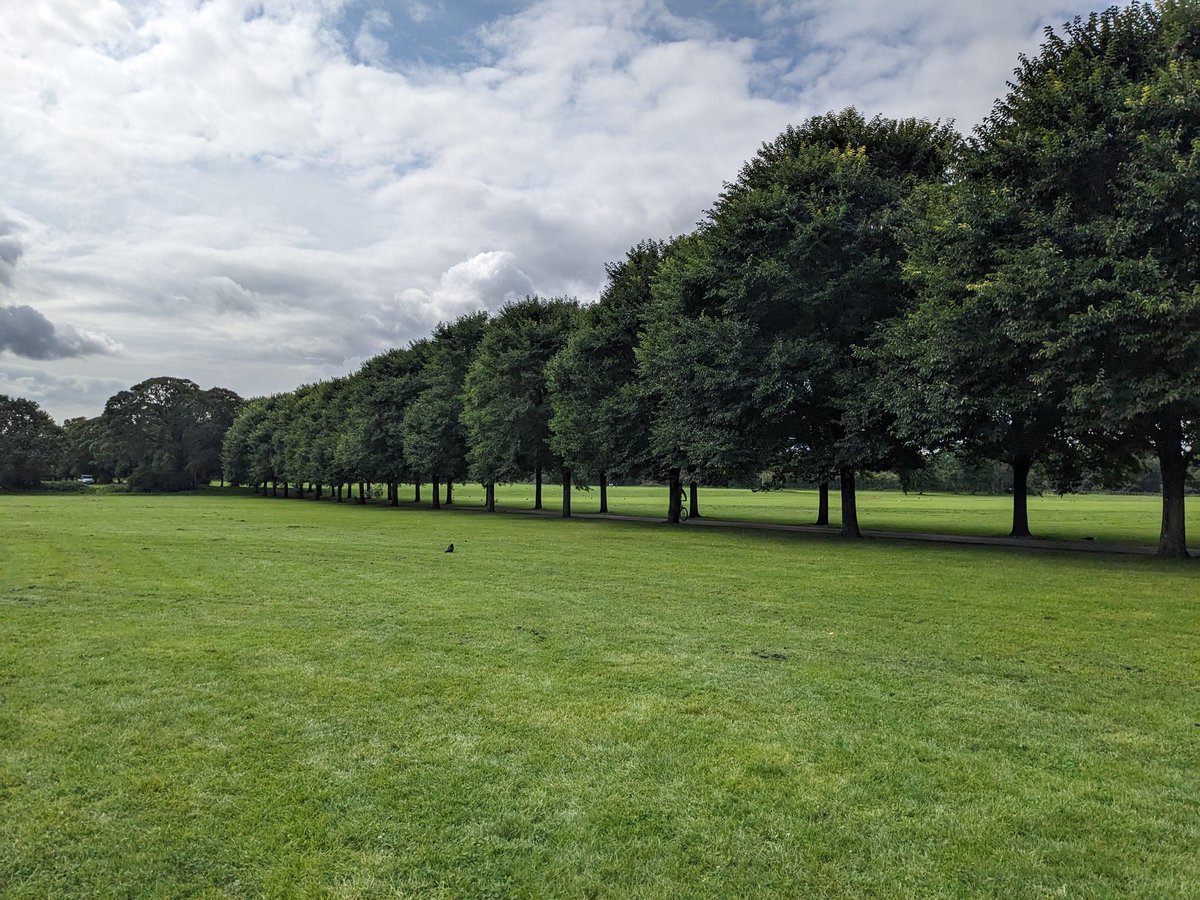 'New Horizon' Elm avenue in #Pontcanna Fields, planted to mark Cardiff's centenary as a city in 2005
cardiffparks.org.uk/otheropenspace…
#CardiffParks