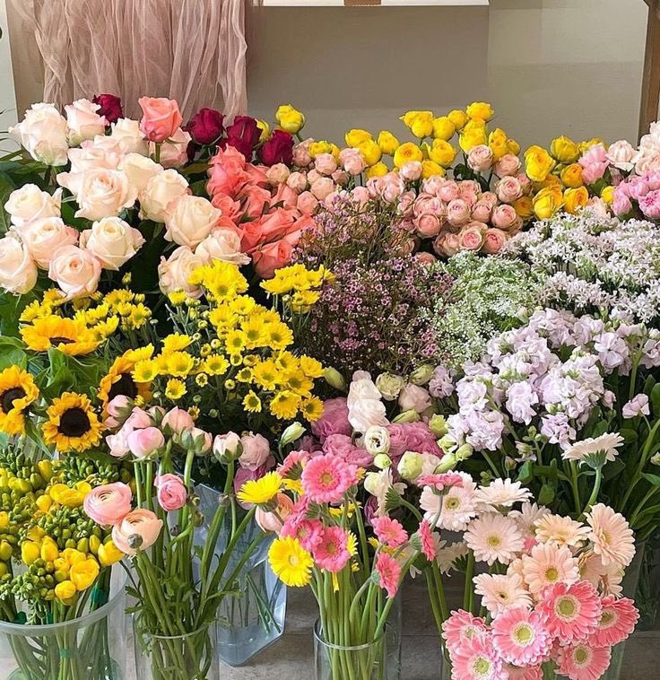itmydefinition's tweet photo. ขอให้สดใสและเบ่งบาน
เหมือนกับดอกไม้ https://t.co/IqeVQJS7EN