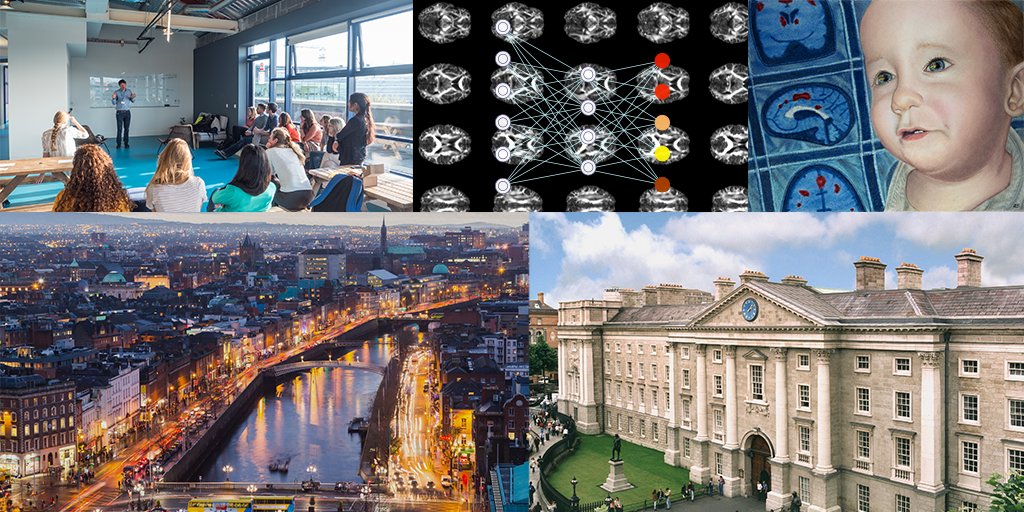 Join us!! PhD and postdoc positions in infant neuroimaging. How does the human mind develop? The Foundations of Cognition (FOUNDCOG) project has acquired the largest cohort of awake infant fMRI to date, with 134 infants at 2 months old.