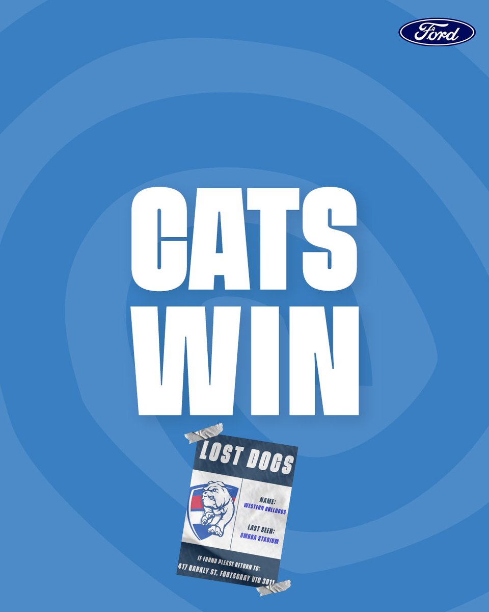 catswomens's tweet image. Searching around the Cattery tonight 👀 

#SheIsFootball | @FordAustralia