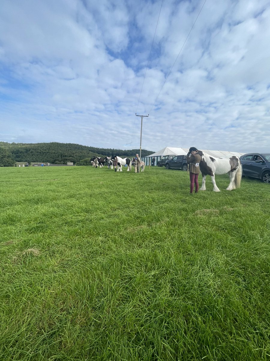 Kildale Show tweet media