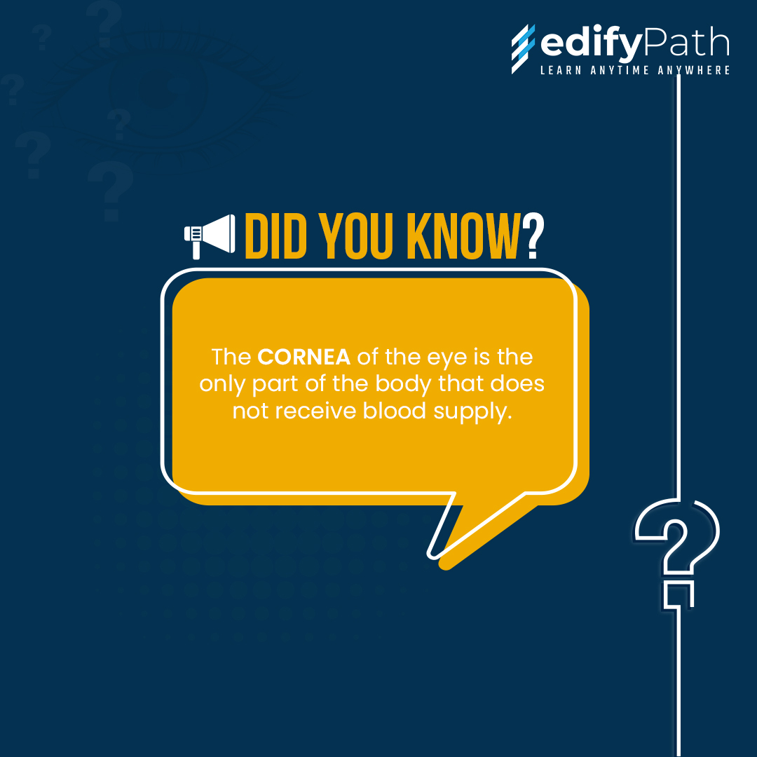 edifypath's tweet photo. The Cornea plays a crucial role in maintaining our vision. It is a transparent portion of the eye that focuses light and is the only organ in the body without a blood supply. https://t.co/r8RmQgTiJm