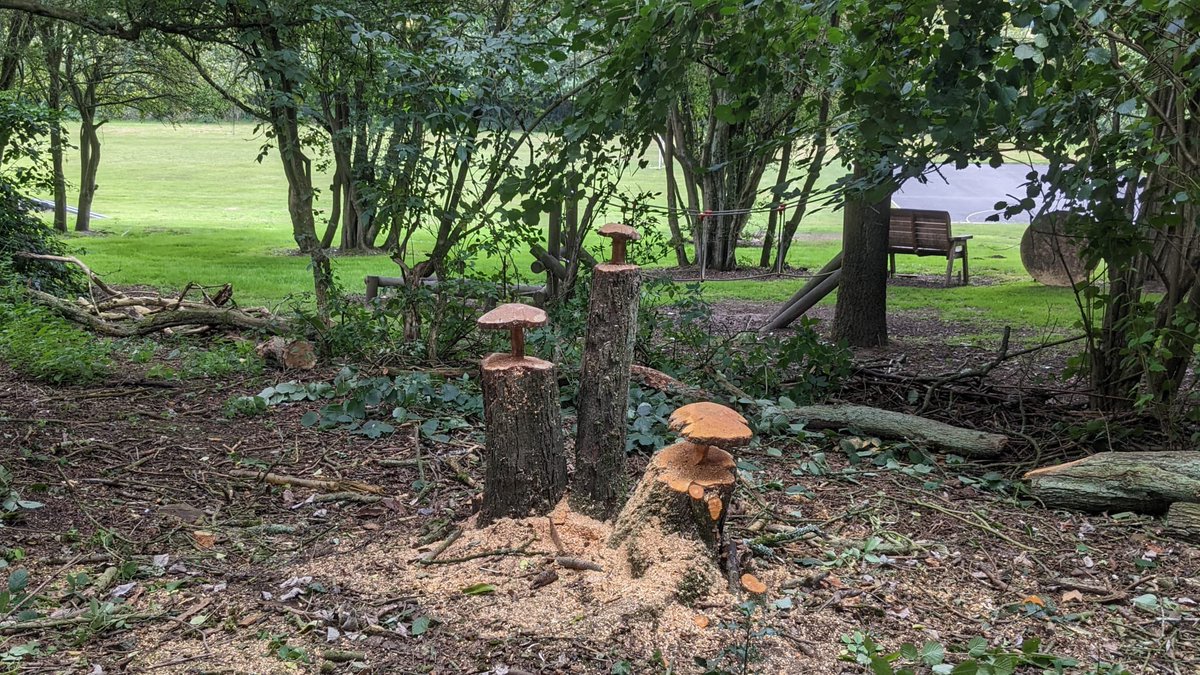 MrsJeansNHP's tweet image. Looking forward to welcoming back the children on Monday 4th September. 

Lots of work has been completed over the summer. Thankyou to everyone who has helped.

#newroof #forestschool  

@NurseryHillEYFS @nursery_hill