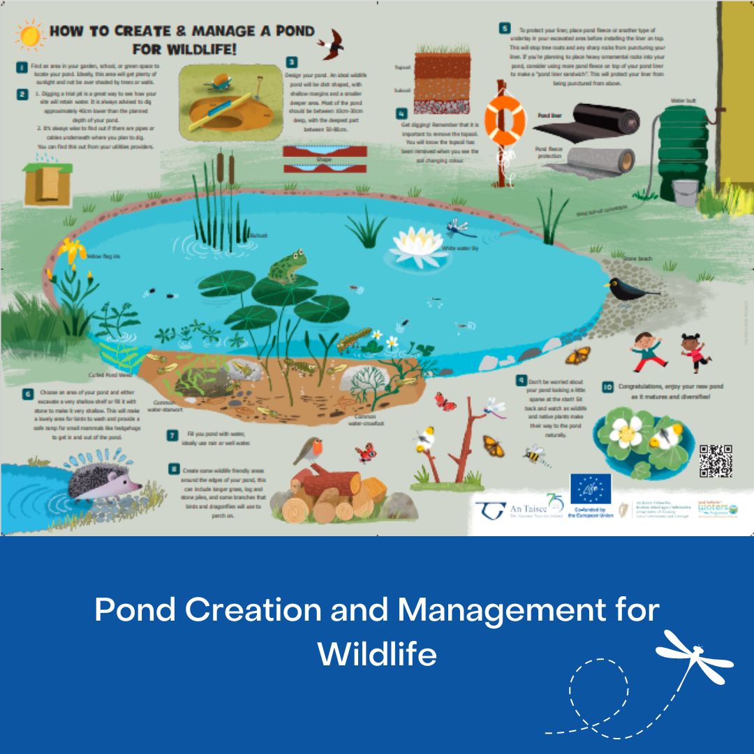 An Taisce’s Legacy4LIFE 'Ponds for Biodiversity' team are delighted to announce the publication of their new Pond Creation and Management for Wildlife pamphlet/poster:  antaisce.org/ponds

#AnTaisce #AnTaisceLegacy4LIFE #L4LPondsforBiodiversity #ponds #wildlife #biodiversity
