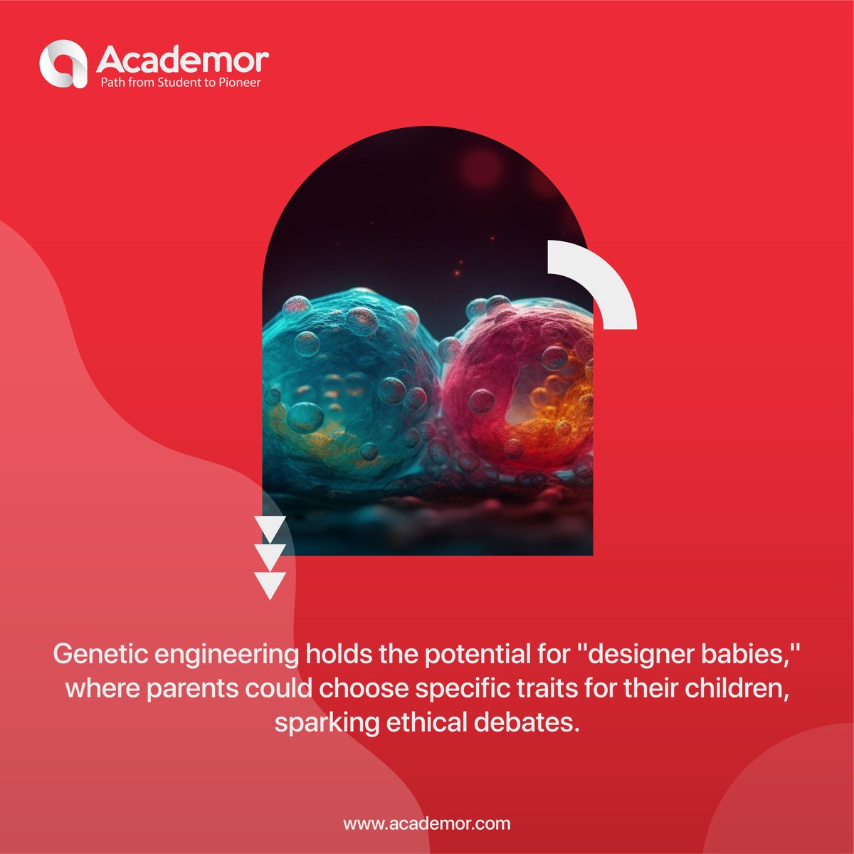 academor_22's tweet photo. Exploring the Boundaries of Genetics: The Promise and Ethical Dilemmas of Genetic Baby Technology
#ACADEMOR https://t.co/pYZh62DGAM