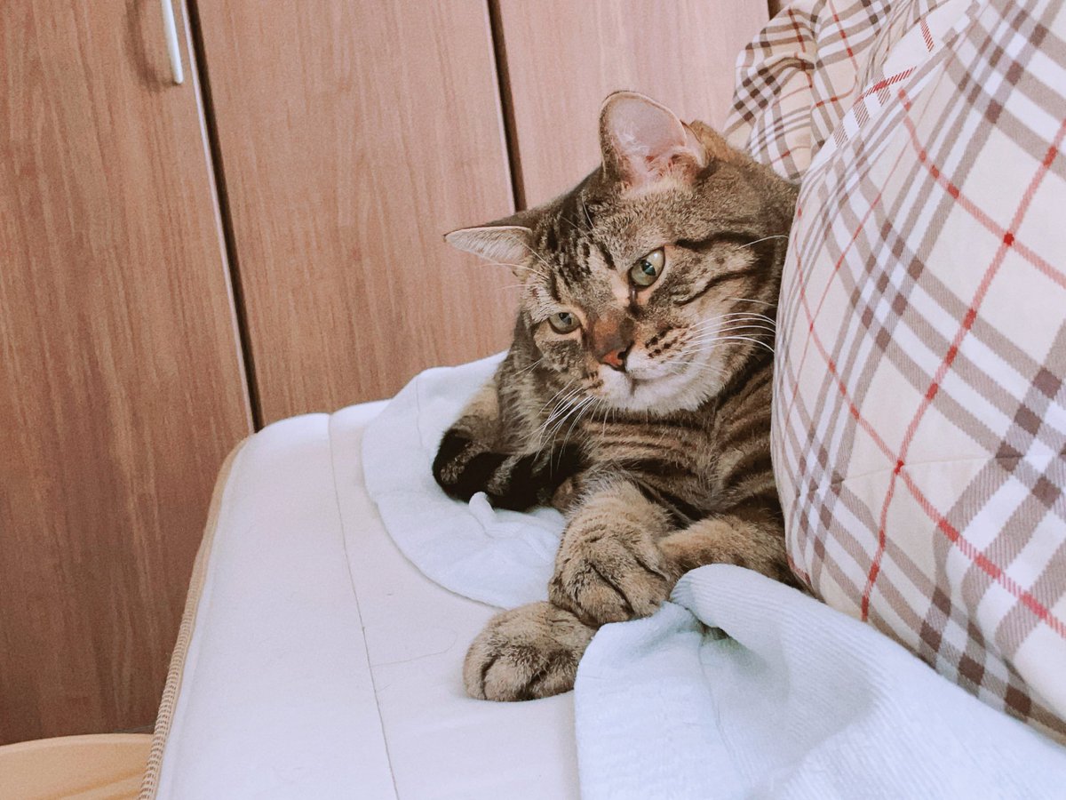 わたしの元気パワー😀
充電しに来てくれる♡