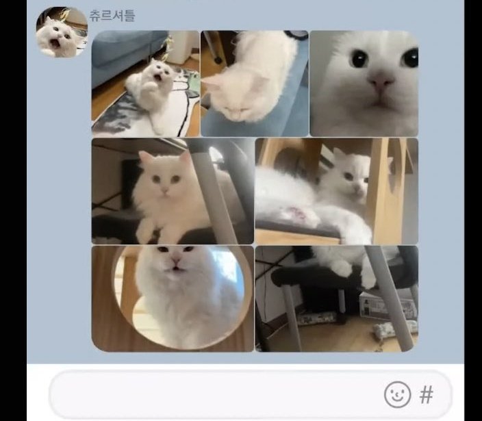 itsbtszone's tweet photo. NOT TAEHYUNG POSTING A COLLAGE OF A CAT TO SHOW OTHERS THAT HE IS A REAL CAT OWNER IM CRYING 😭😭😭 https://t.co/3qBdt1695Z