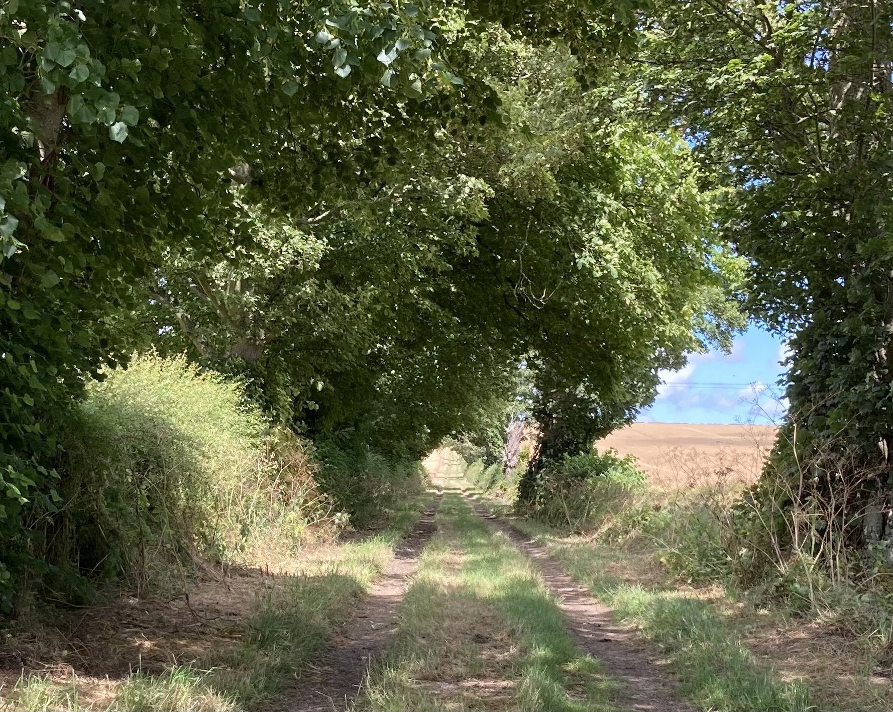 Hockney Trail: The Tunnel