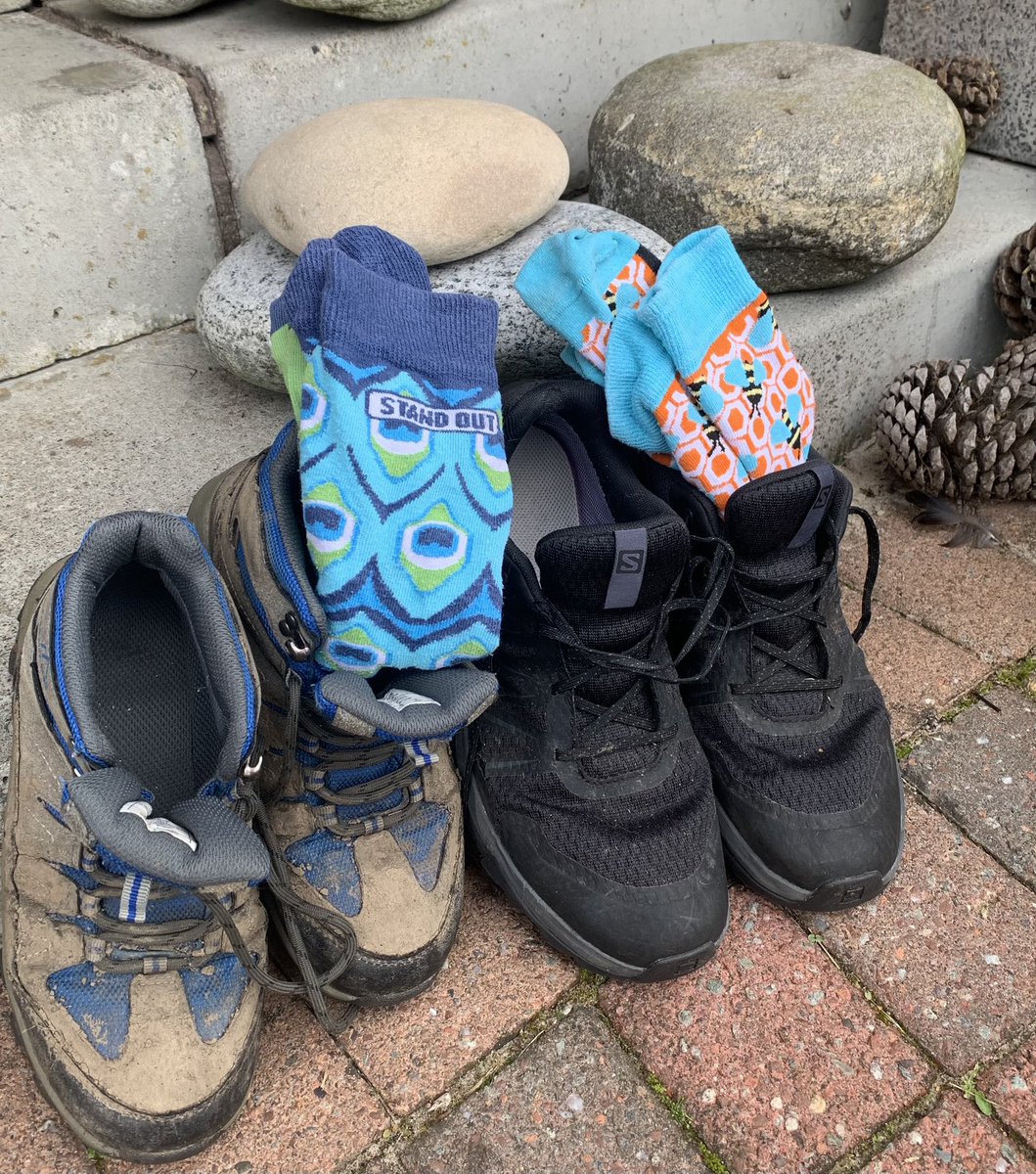 Eddie_DSS's tweet image. Looking forward to some #SunshineOnLeith today as Finlay steps out to raise funds for the brilliant charity #WatchUsGrow.

Come on Finlay, you’ve got this 
💪🏻🥾🪴💚 

Grateful for any spare change and any messages of support for Finlay 🙏🏻 

paypal.com/donate?campaig…