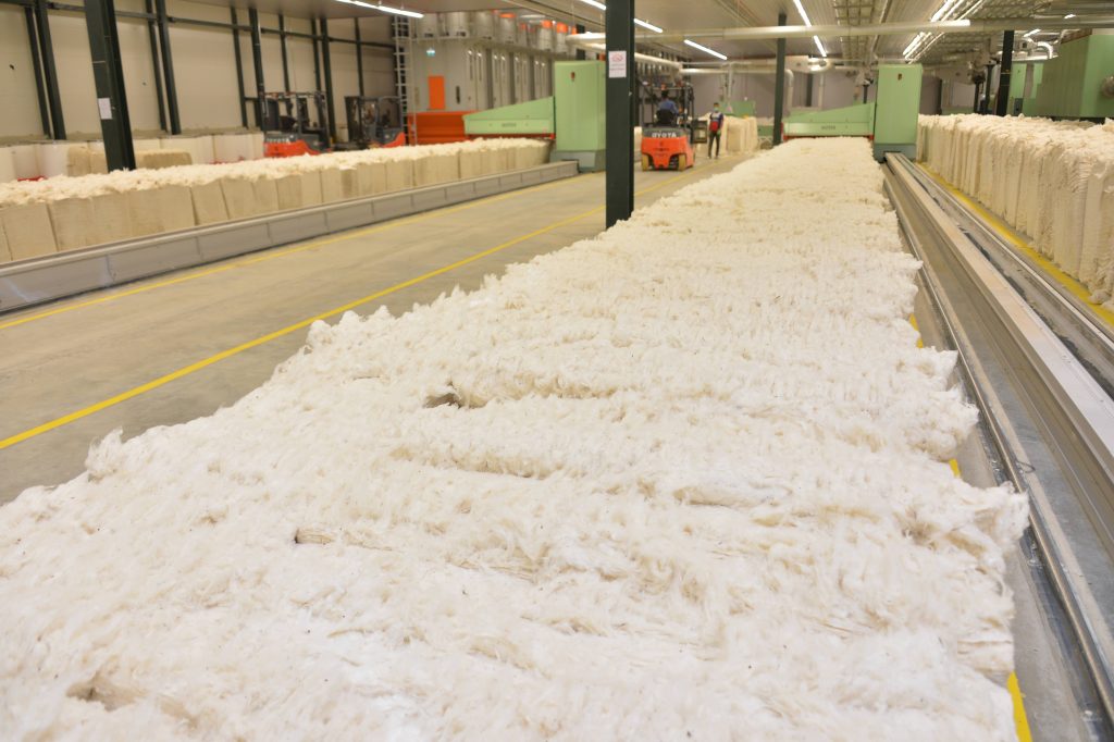 Algeria has Africa's largest textile factory, the $1.5 billion Tayal SPA complex. 

It covers an area of 250 hectares, and has 10,000 employees.

It is a joint venture between Algeria and Turkey.

It produces 60 million metres of woves fabric and 30 million garment pieces yearly.