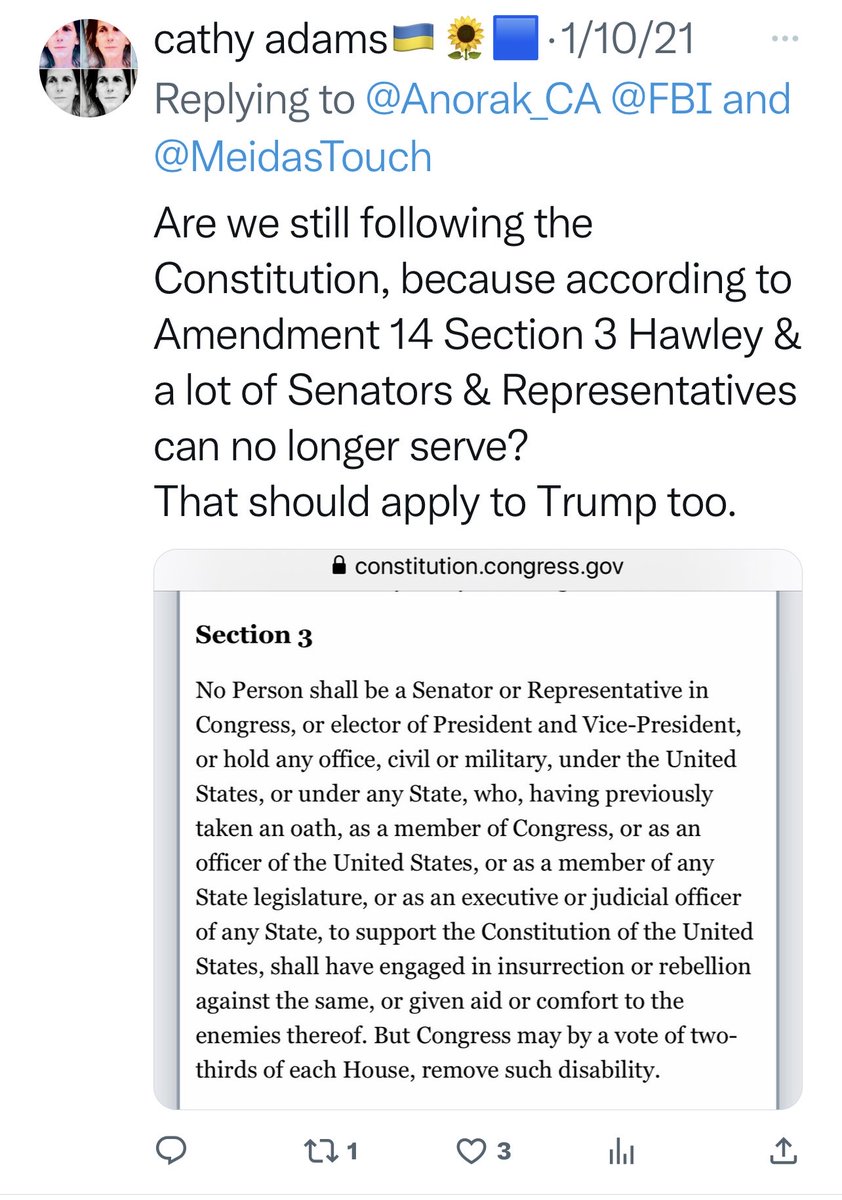 whatsrealhere's tweet image. I thought so &amp;amp; it's about time...&amp;amp; btw Trump's reckless disregard for life (he took oath to protect) on J6 caused deaths,so along with all his other charges add #manslaughter

But the #GOPPartyOfCriminals😜 doesn't care &amp;amp; will #WriteTrumpIn 

This IS ABSURD!
#Amendment14Section3