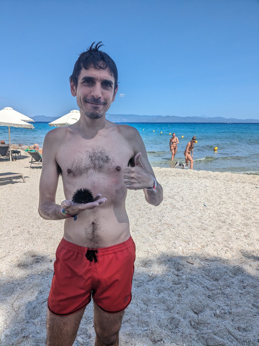 Lefteris Karapetsas tweet media