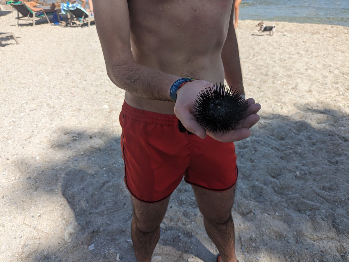 Lefteris Karapetsas tweet media