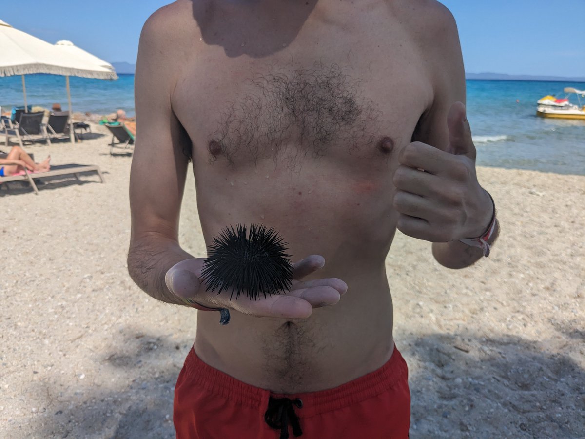 Lefteris Karapetsas tweet media