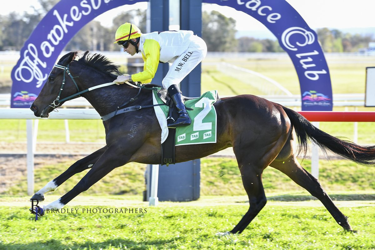 mcsmithracing's tweet image. FRENCH ENDEAVOUR 💫

🥇Fillies and Mares C1 1300m, Hawkesbury 

Congratulations to her owners, The Mapp Family of Hobartville Stud!

#TeamMCS