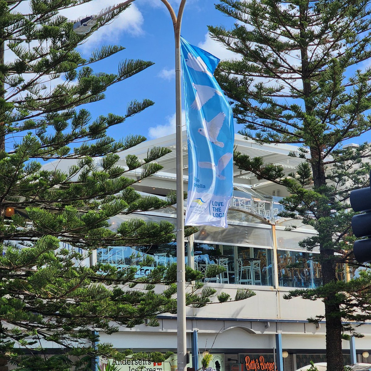 coogeejohno's tweet photo. @RandwickCouncil you're flying flags with the wrong birds atm...Time to get the Red, White and Blue out for the @sydneyroosters. Finals bound 🐔 https://t.co/Pv0EkJZ9JQ