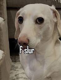 People are visiting mine and <a href="/sweet__gee/">conor ✨</a> ‘s flat today with an estate agent. What will they think when they see the art, books, film posters and picture of George Michael in leather?