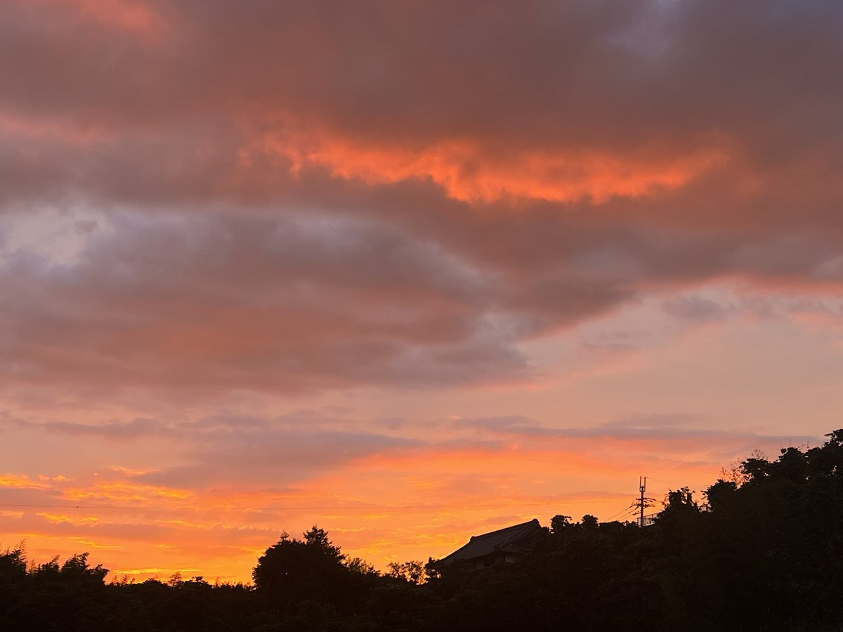orange396600921's tweet photo. .
#イマソラ

久しぶり
orange🧡の優空

素敵な週末を🍃𓂃𓈒𓏸︎︎︎︎ https://t.co/sCWSqmWbP0