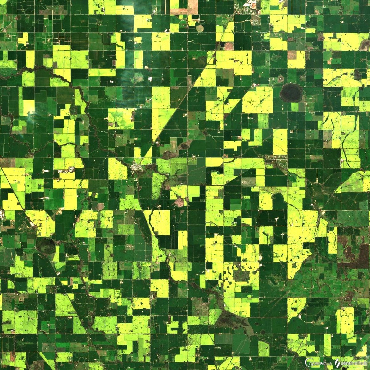 The NSW Riverina and northern VIC in early spring.