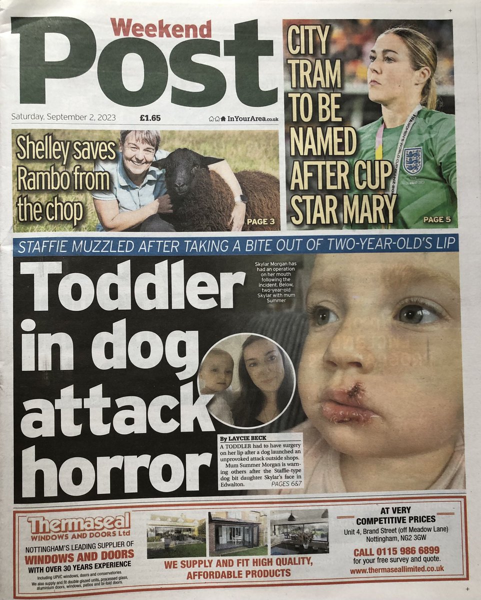 Laycie Beck tweet media