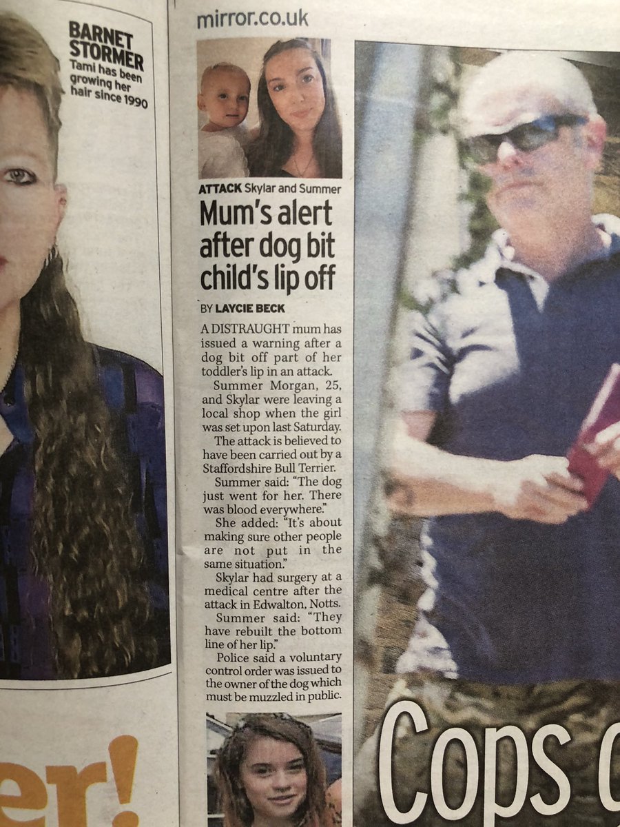 Laycie Beck tweet media