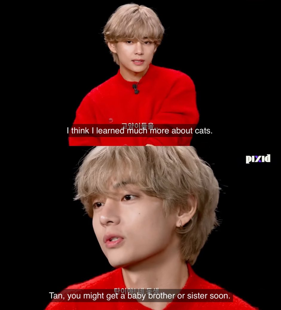 itsbtszone's tweet photo. is tae about to get a cat for real now ? 😭 https://t.co/3f65cjXD4r