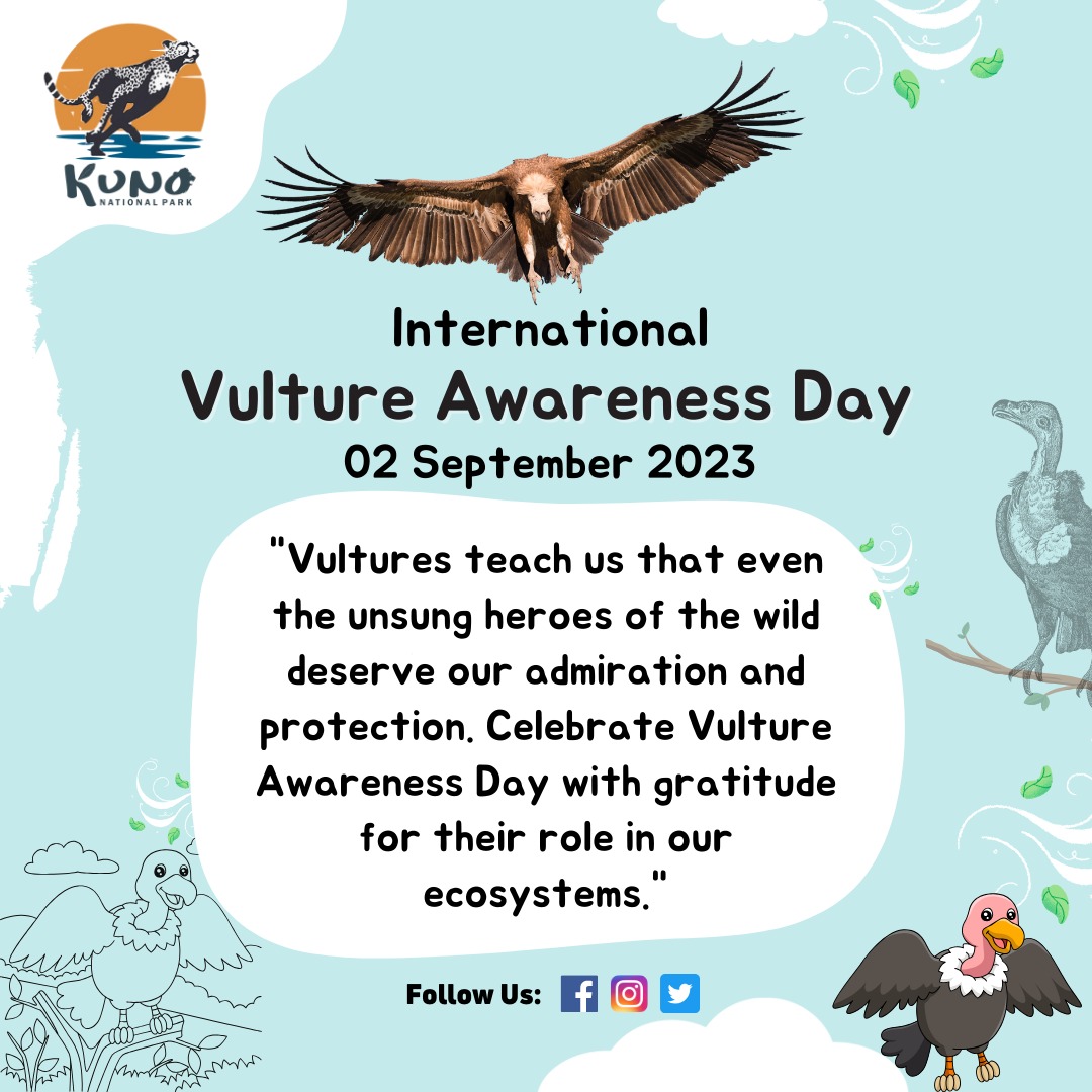 Vultures are magnificent birds that play a crucial role in our ecosystems. They are nature's cleanup crew, helping maintain the balance by scavenging on carrion but they face threats like habitat loss & poisoning. Let's work for their conservation. 
#VultureAwarenessDay