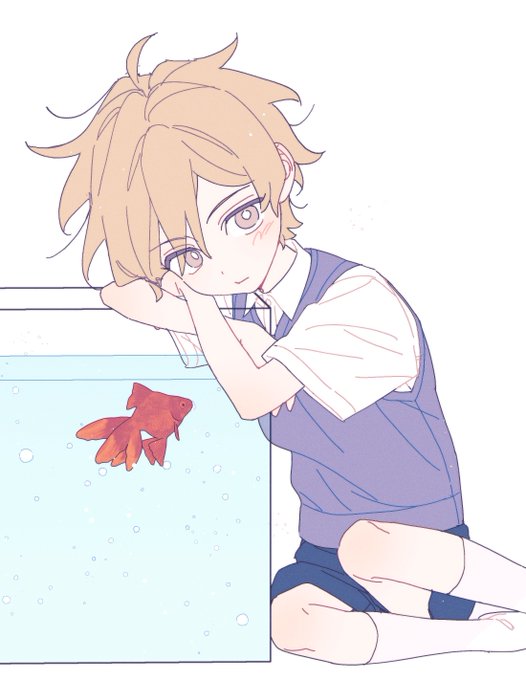 「1boy goldfish」 illustration images(Latest)