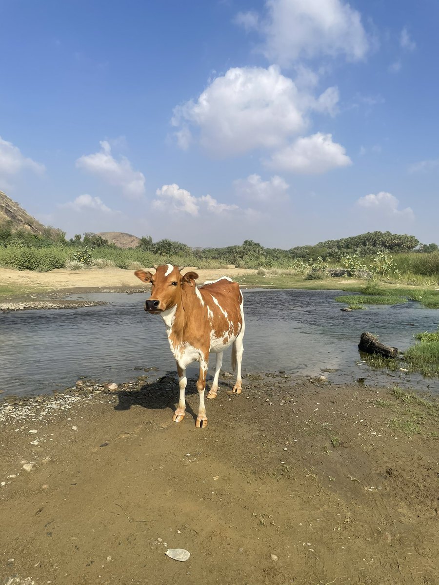 ما زال للخير بقيه
ودعنا اغسطس الجميل ونبشركم بان شهر سبتمبر ثلثه الاول  يحمل طابع نسبي لغسطس  من حيث الامطار على #جازان #عسير #الباحه #مكة المكرمه هذا والله اعلم