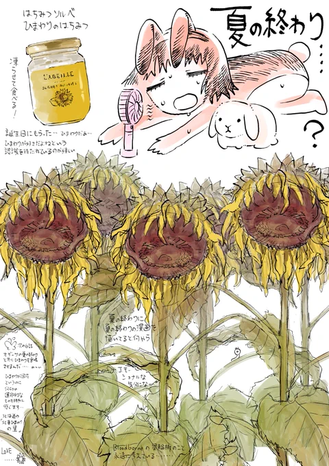 🌻🌻🌻 