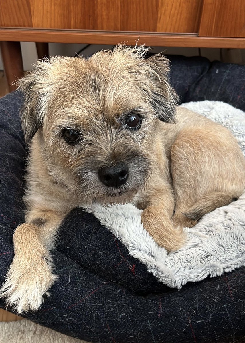 Lucia & 🌈 Dame Maggie tweet media