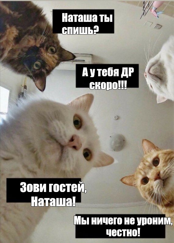 NTlwn's tweet photo. 10го сентября я стану на год старее ) 
Поскольку в этом должно быть хоть что-то хорошее, я буду рада увидеться. И приглашаю прийти поздравить меня. 
Всех приглашаю.
10 сентября, ВОСКРЕСЕНЬЕ Антикафе " Сухарева Башня", с 18:00. 

Вишлист внизу по ссылке:
https://t.co/w50lgE7d64 https://t.co/iOC9kqhFui