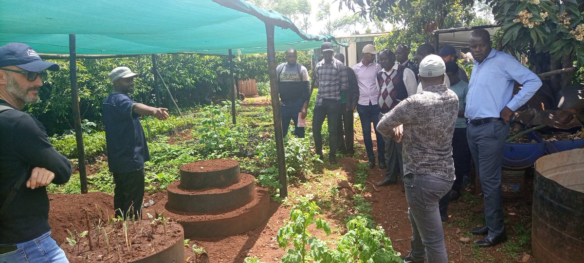 What an #excursion💚 Getting an opportunity to learn #gardening and greenhouse concept from @MitiAlliance was an #educative & call to replicate, localize #smartagriculture for #FoodSecurity & #nutrition
#SDG2 
@BiovIntCIAT_eng 
@KeForestService 
@KEFRIHQ 
@WFP 
@LaikipiaCountyG
