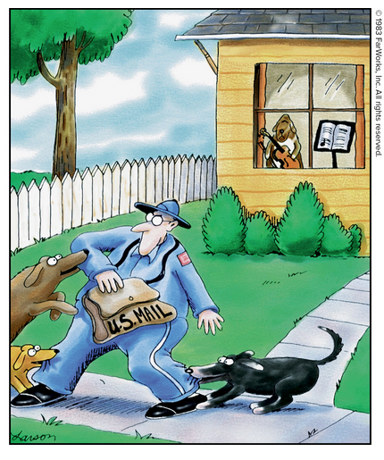 jacobsjapan's tweet photo. Enjoy your weekend and get outside if you can! #Dog #Cartoon https://t.co/GdGodyHqSq