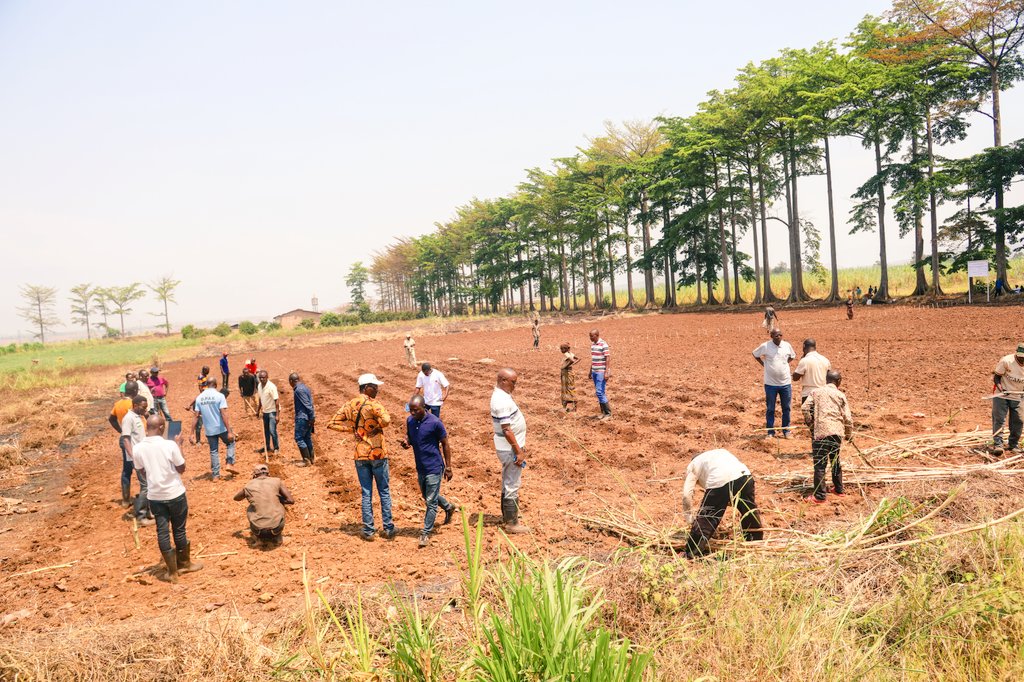 BMineagrie's tweet photo. Les participants ont pu pratiquer sur terrain l'établissement de ces variétés ds un champ de démonstratº de la station d’innovation #Mparambo de l'@isabu_officiel et des certificats leur ont été remis en présence de la dir du #BPEAE Cibitoke et le représentant de  l'@IITA_CGIAR. https://t.co/hmnoLhBd4J