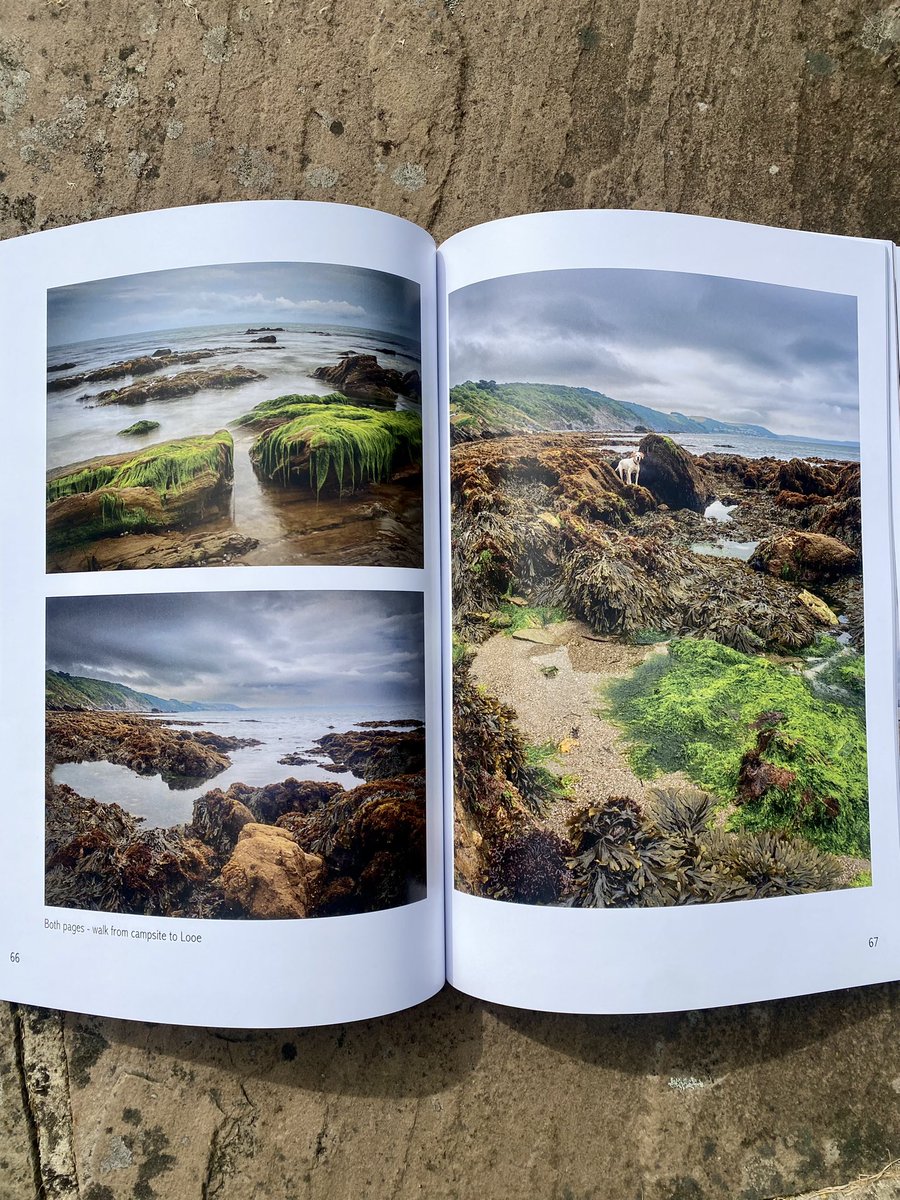 Clare Smallwood tweet media