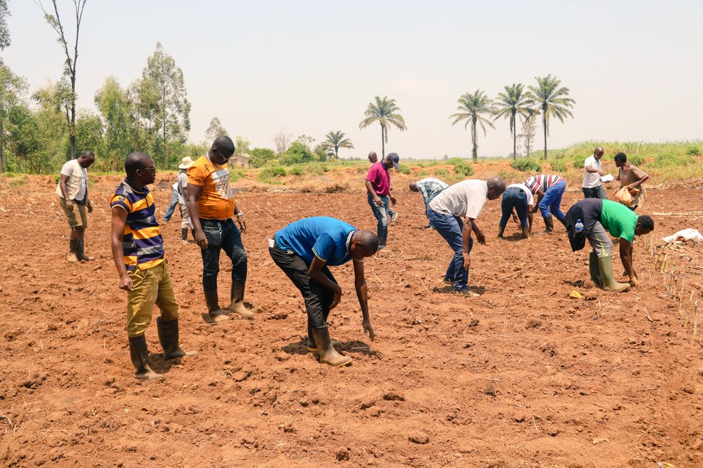 BMineagrie's tweet photo. Les participants ont pu pratiquer sur terrain l'établissement de ces variétés ds un champ de démonstratº de la station d’innovation #Mparambo de l'@isabu_officiel et des certificats leur ont été remis en présence de la dir du #BPEAE Cibitoke et le représentant de  l'@IITA_CGIAR. https://t.co/hmnoLhBd4J