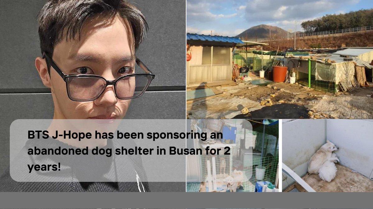 tworldreviews's tweet photo. Heartwarming Stories Unfold! On August 31, 2023, a blog post ignited a wave of compassion as it unveiled BTS's J-Hope's silent support for a dog shelter. 

@94JHSE0K @bts_bighit 

#JHope #AnimalLover #Kindness #BTSJHope #Busan #ARMY https://t.co/mCCULZuR4w
