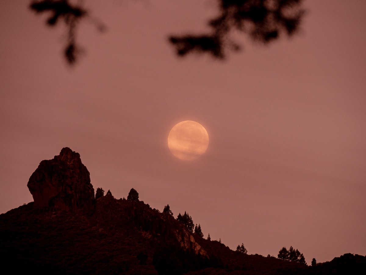 #SuperBlueMoon #SuperLuna #GranCanaria #Valsequillo