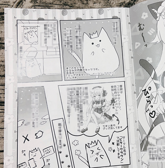 新刊セットと中身チラッ(実際の本にはモザイクはかかってません) 