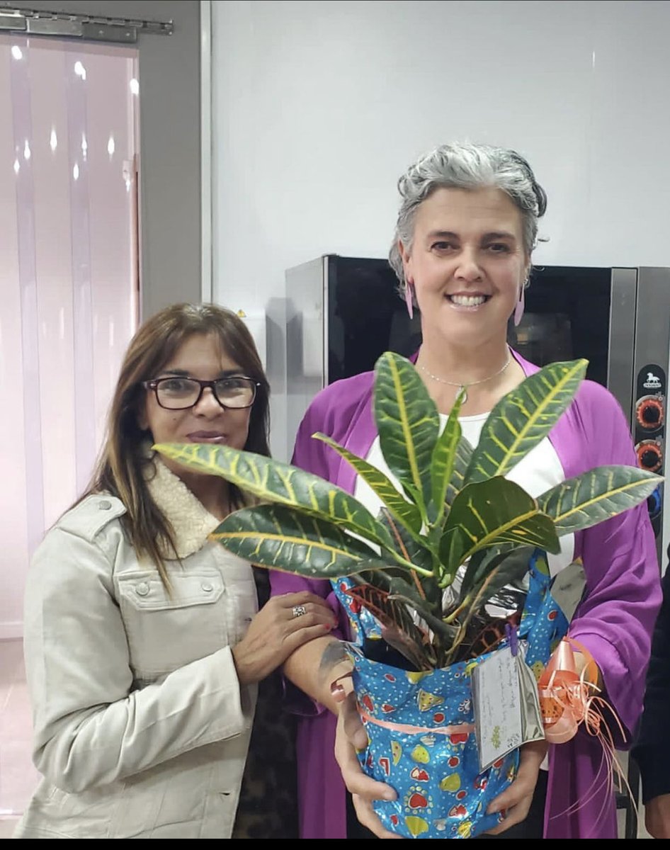 Isa Rosso tweet media