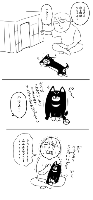 子犬が天性の甘え上手という日記です 