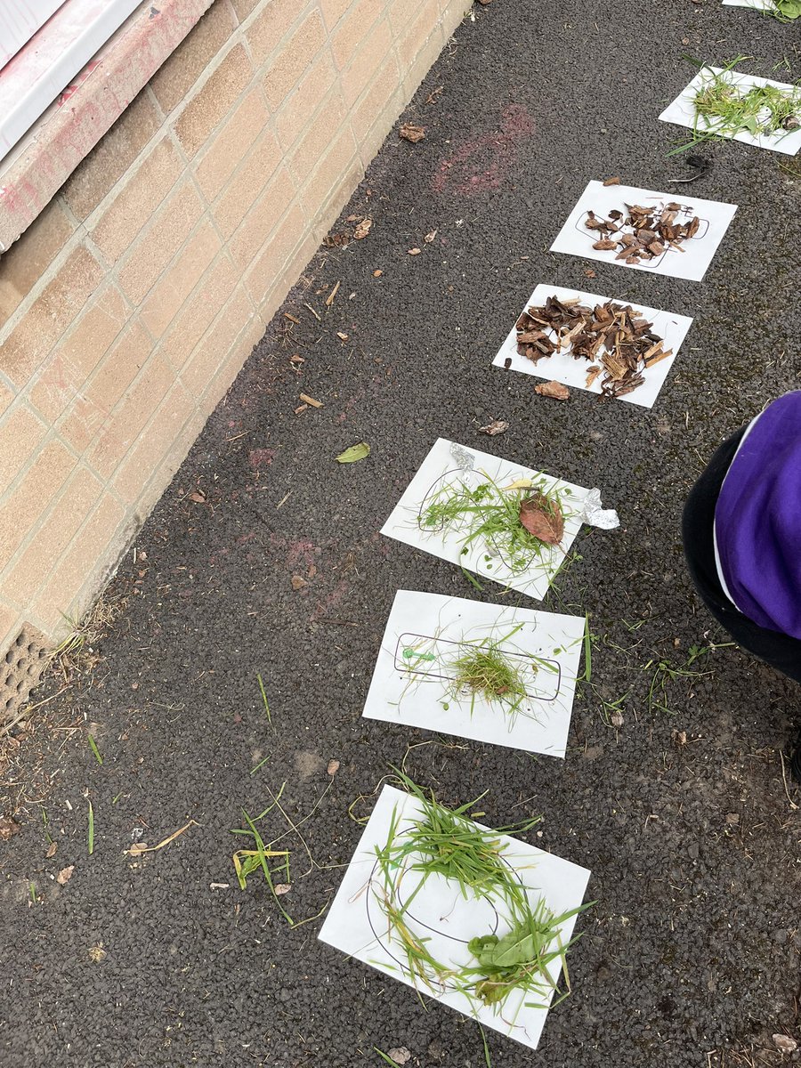 MissStewartPri's tweet photo. Loose parts number formation 🍃 https://t.co/IRTtgDLo2i