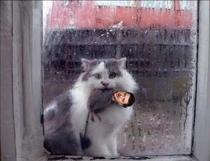 bocharik tweet media