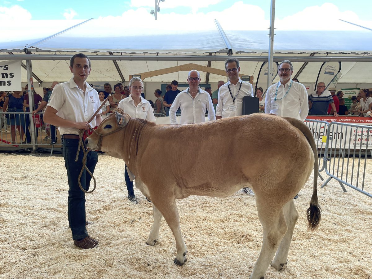 Les juges ont misé sur la jeunesse ! Ultime est sacrée meilleur animal du concours parthenais