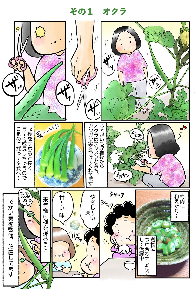 「畑日記」
#漫画が読めるハッシュタグ 
#コミックエッセイ #デジタルイラスト 